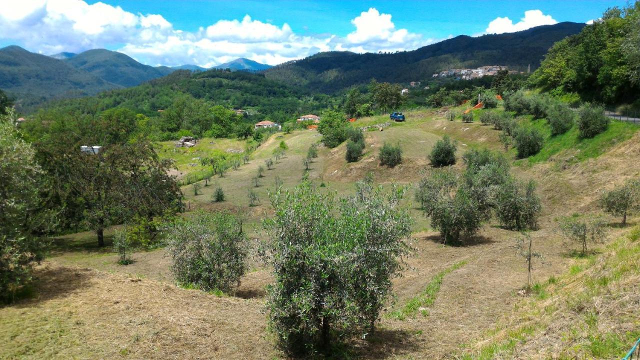 Agriturismo Tenuta Valletti. Sesta Godano Dış mekan fotoğraf